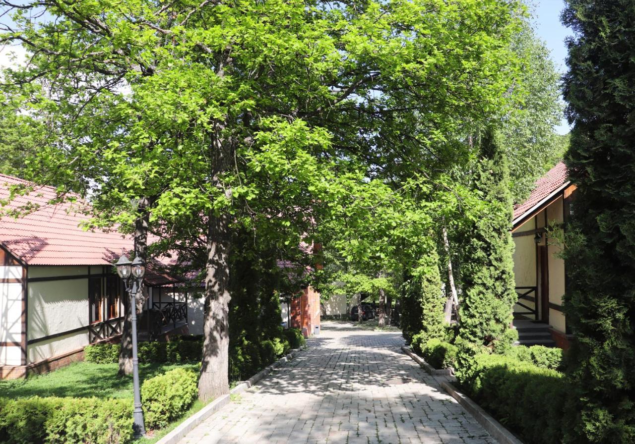 Splendor Resort And Restaurant تساجكادزور المظهر الخارجي الصورة